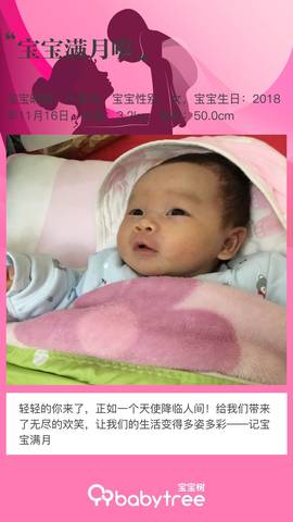 journal_insert_pic_1151056883