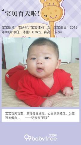 journal_insert_pic_1150730365