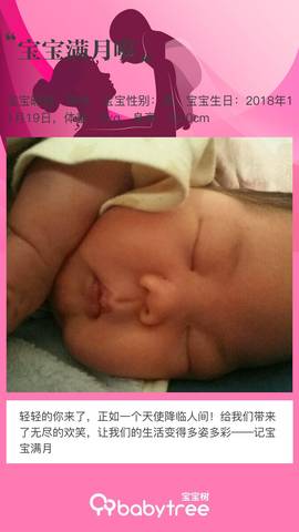 journal_insert_pic_1150617254
