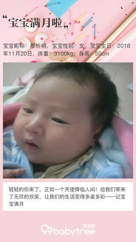 journal_insert_pic_1150709166