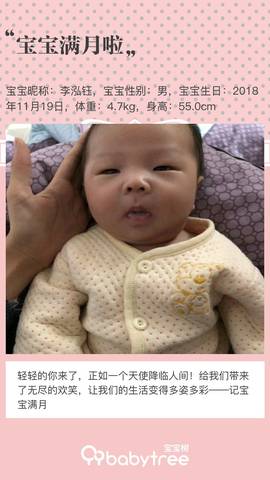 journal_insert_pic_1151321176
