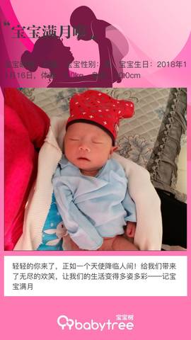 journal_insert_pic_1151263664