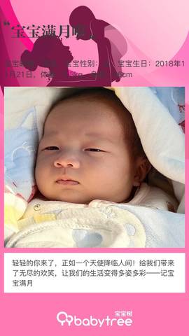 journal_insert_pic_1152483368