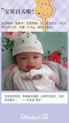 journal_insert_pic_1152674314