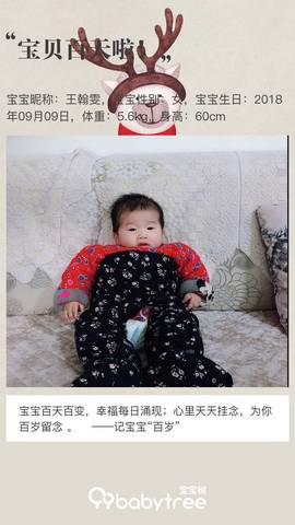 journal_insert_pic_1152330387