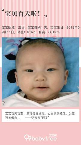 journal_insert_pic_1152710981
