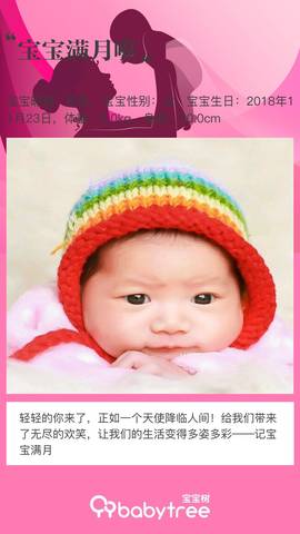 journal_insert_pic_1153944247