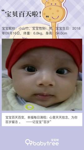 journal_insert_pic_1154738520