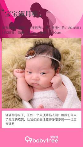 journal_insert_pic_1155586639