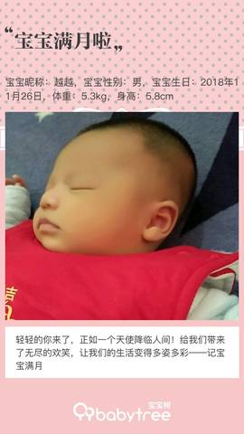 journal_insert_pic_1155530217