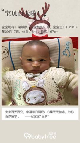journal_insert_pic_1157180433
