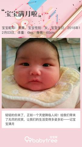 journal_insert_pic_1157759004