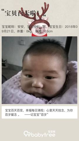 journal_insert_pic_1157427951