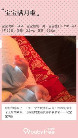 journal_insert_pic_1158270956