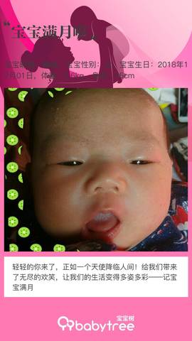 journal_insert_pic_1158005090
