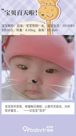 journal_insert_pic_1159177477