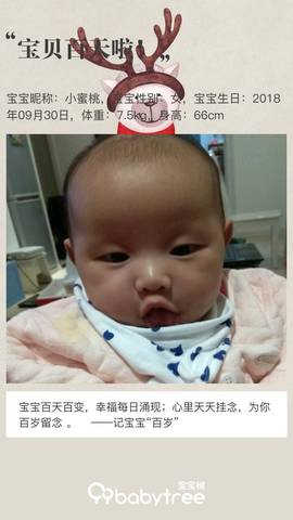 journal_insert_pic_1159055898