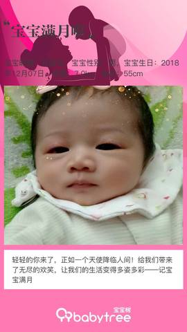 journal_insert_pic_1159090433