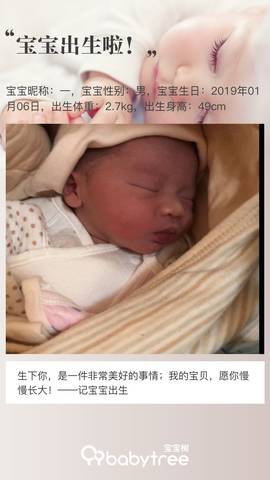 journal_insert_pic_1161056468