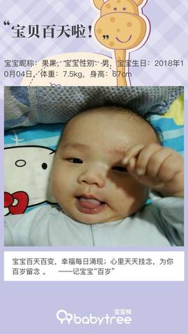 journal_insert_pic_1161308360