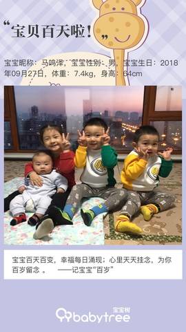 journal_insert_pic_1162151548