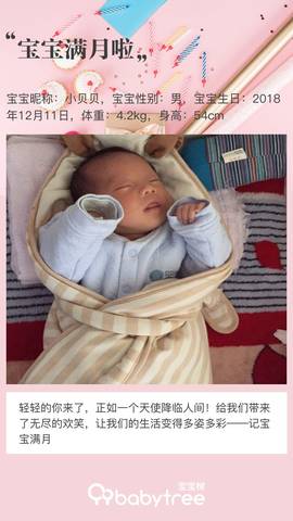 journal_insert_pic_1162744111