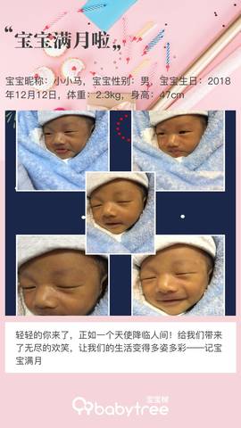 journal_insert_pic_1162739275