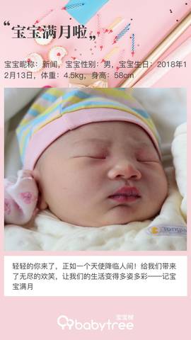 journal_insert_pic_1162808427
