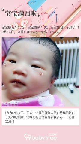journal_insert_pic_1163143019