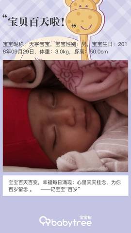 journal_insert_pic_1162905798