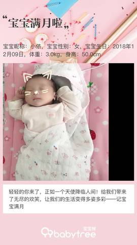 journal_insert_pic_1163300330