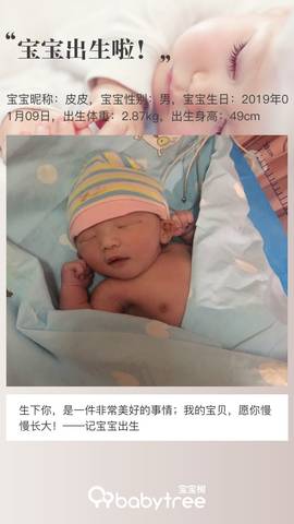 journal_insert_pic_1163058279