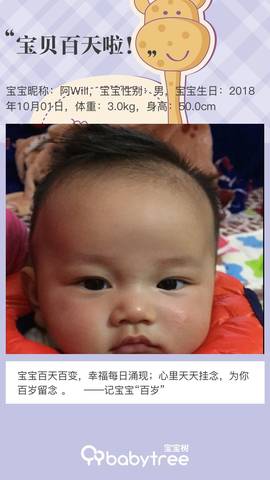 journal_insert_pic_1162969242