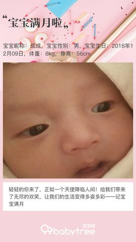 journal_insert_pic_1163440577
