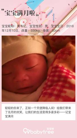 journal_insert_pic_1163417131