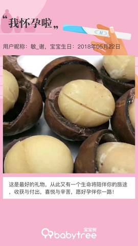 journal_insert_pic_1163684856