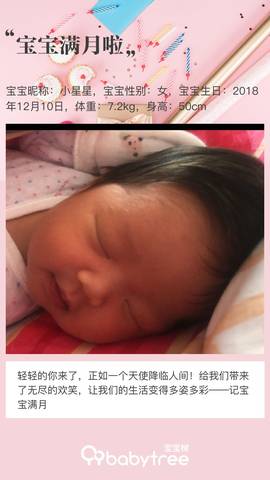 journal_insert_pic_1164065053