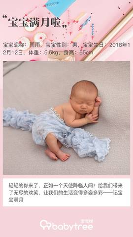 journal_insert_pic_1163993276