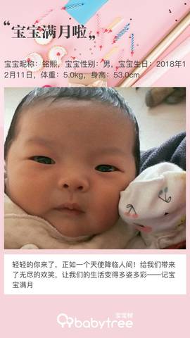 journal_insert_pic_1164129921