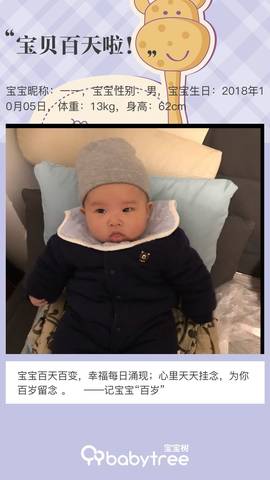journal_insert_pic_1165096840