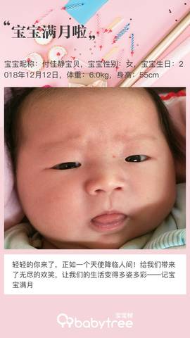 journal_insert_pic_1165475181