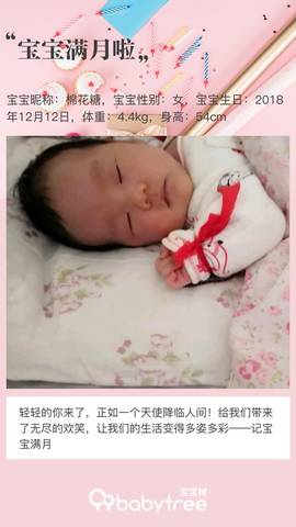 journal_insert_pic_1165581029