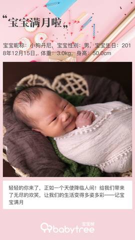 journal_insert_pic_1165726473