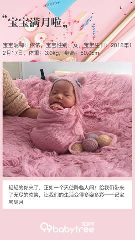 journal_insert_pic_1165501171