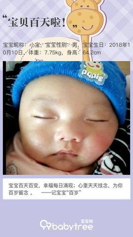 journal_insert_pic_1166124049