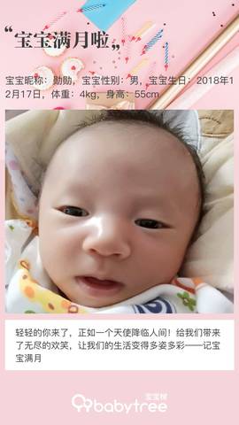 journal_insert_pic_1166057629