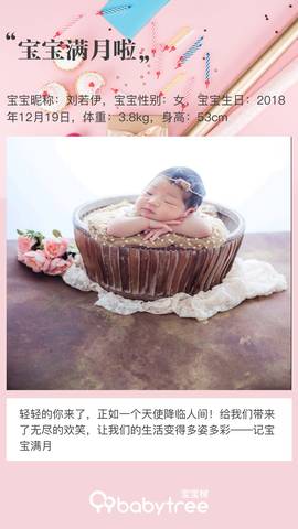journal_insert_pic_1166486396