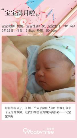 journal_insert_pic_1166949549
