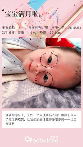 journal_insert_pic_1167012275