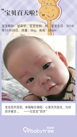 journal_insert_pic_1167064464